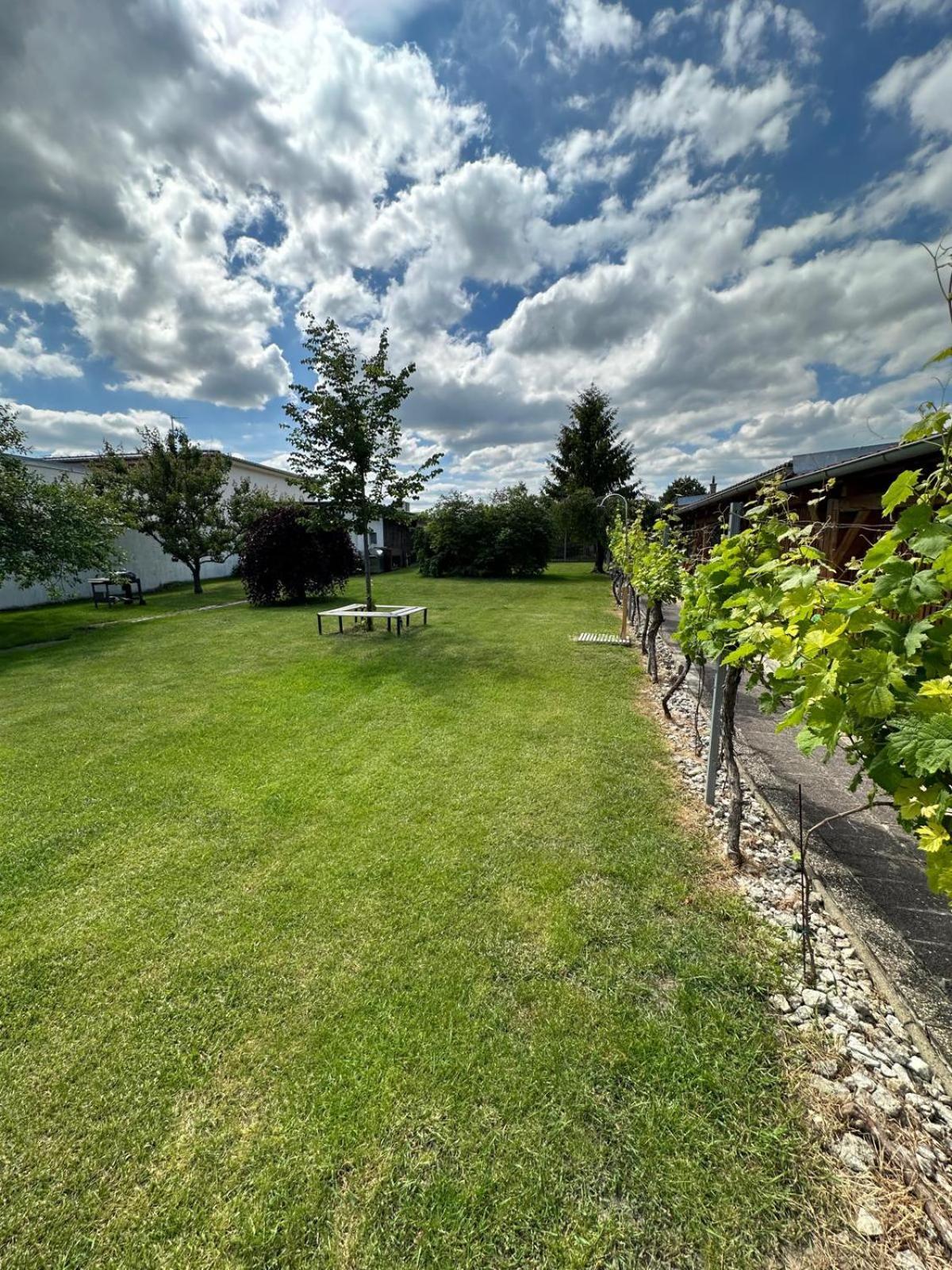 Apartman Lipa Mikulov Extérieur photo