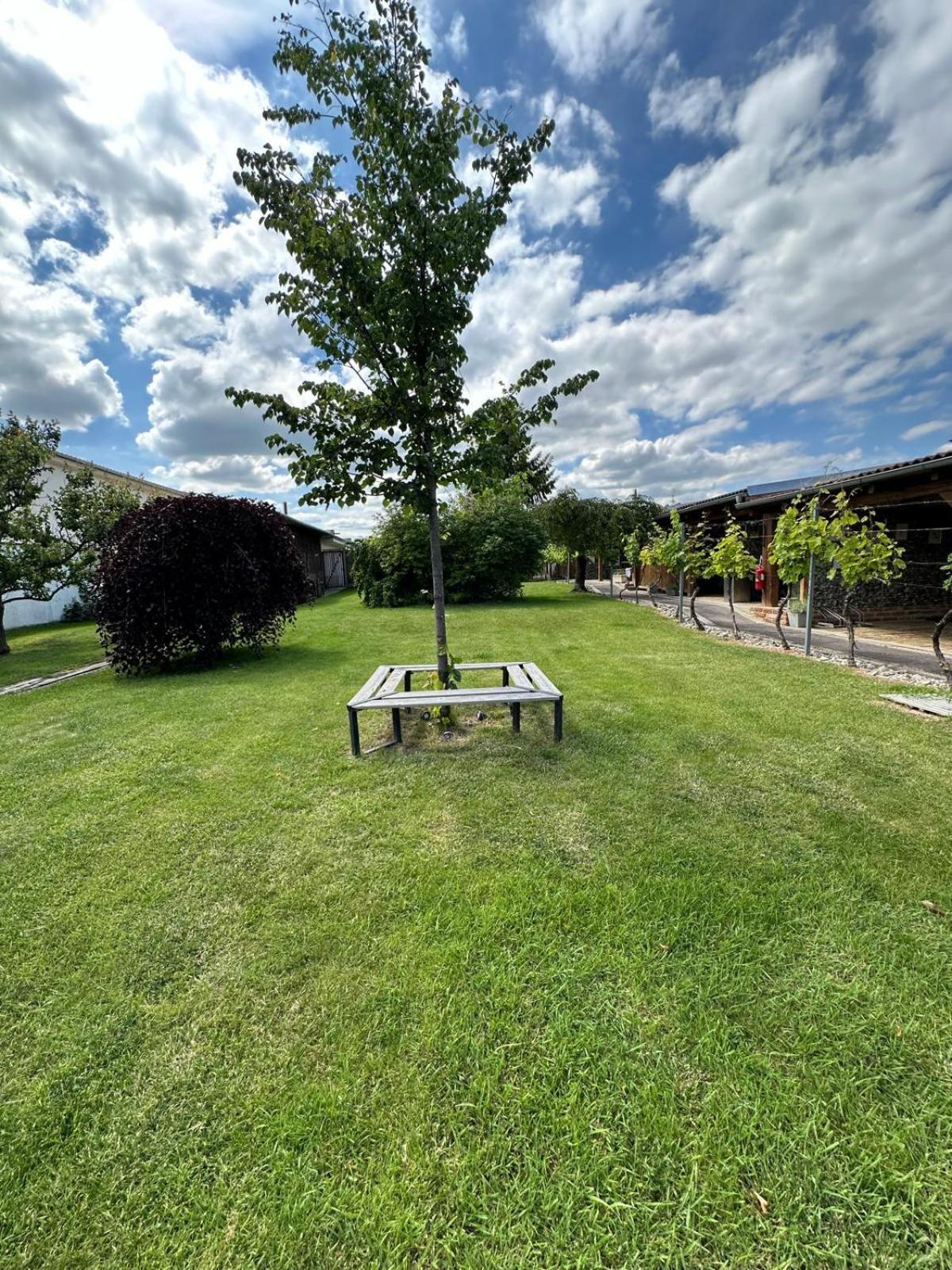 Apartman Lipa Mikulov Extérieur photo